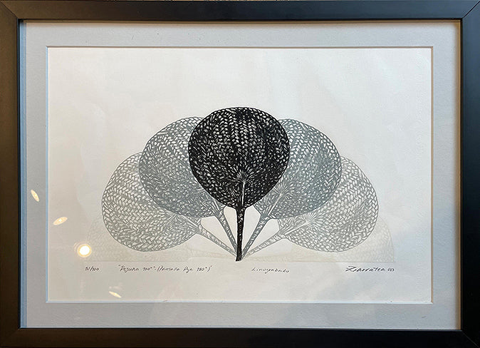 PANTALLA PARAGUAYA 180° - 54x40cm