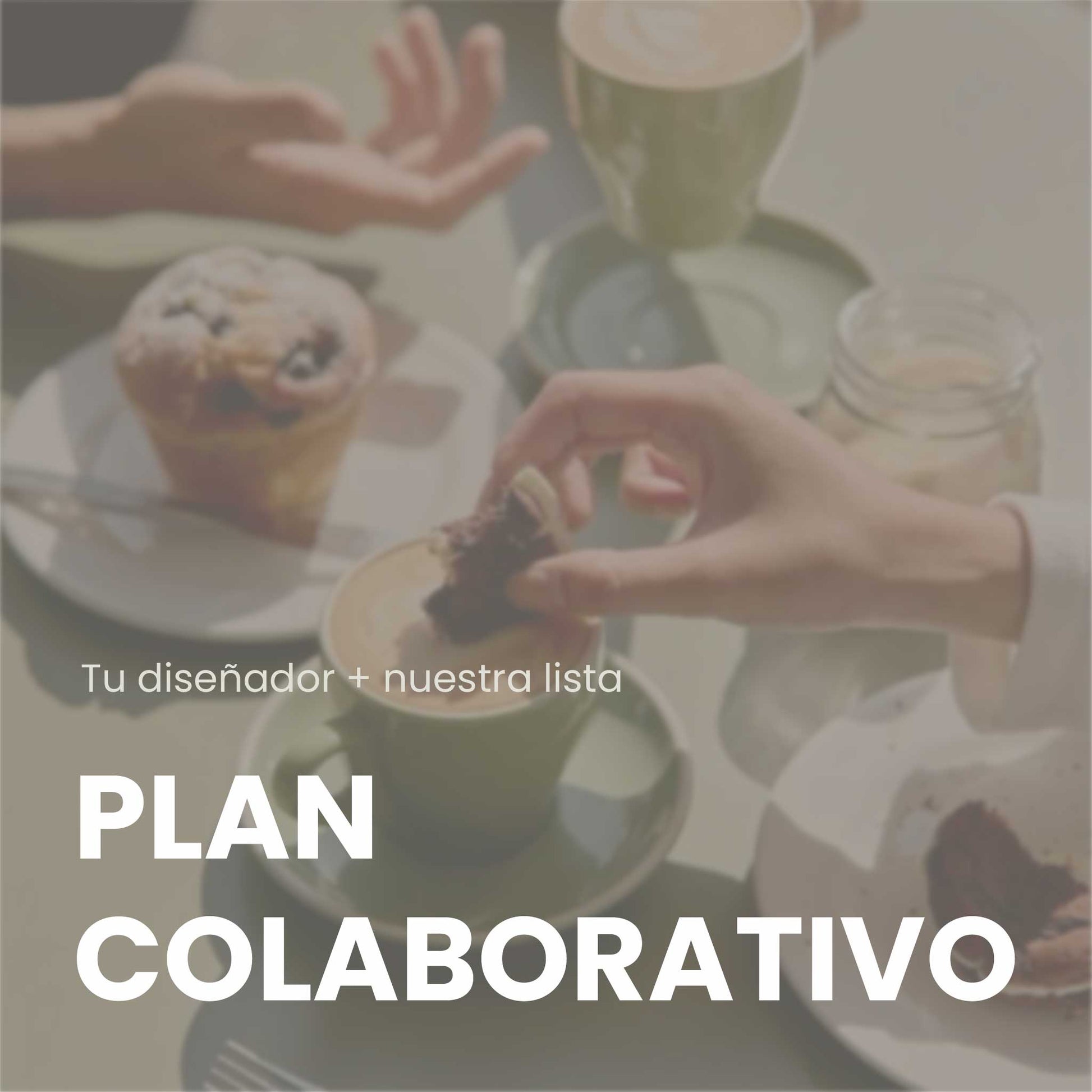 Plan Colaborativo